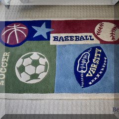D14. Sports themed pile rug. 3' x 5' - $48